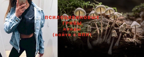 прущие крисы Алексеевка