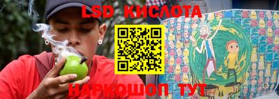крисы Славгород