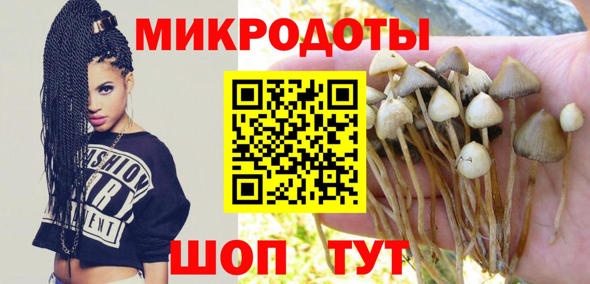 Псилоцибиновые грибы Psilocybine cubensis Нижнеудинск