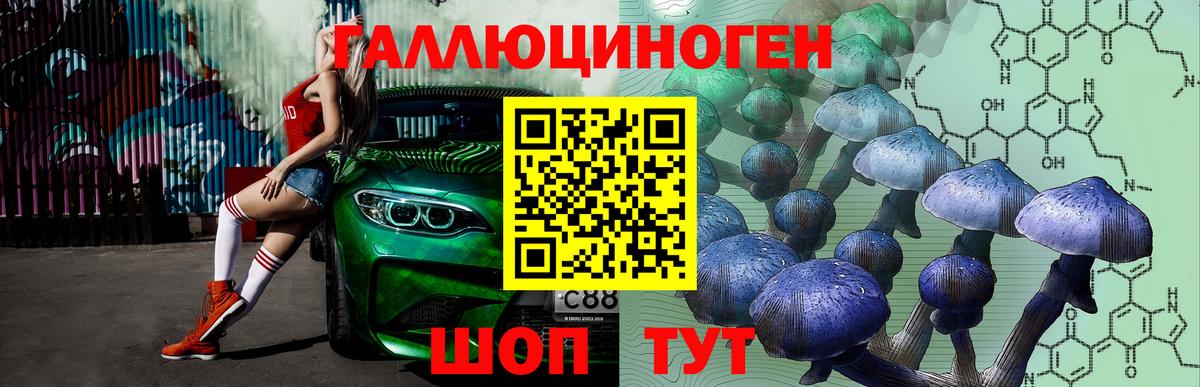 Нижнеудинск  Псилоцибиновые грибы Cubensis  Псилоцибиновые грибы MAGIC MUSHROOMS  Вход с VPN 